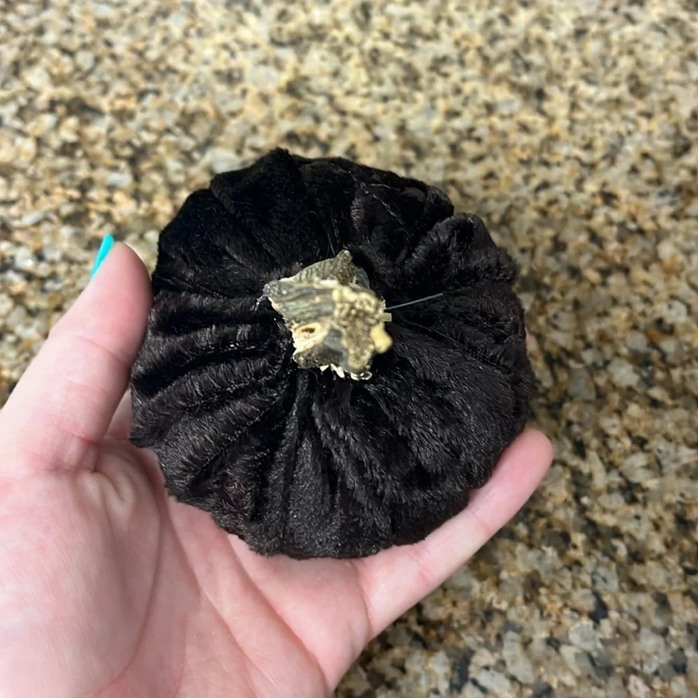 Elegant Brown Velveteen Pumpkin Decor